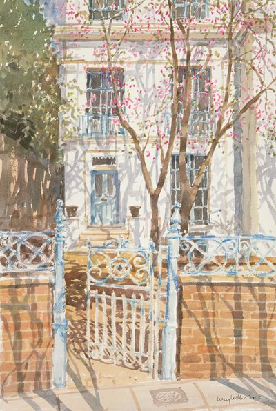 The Judas Tree by Lucy Willis
